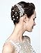 Pack of 2 Bridal Wedding Hair Comb + 20pcs Crystal Pearls Hair Pins Women Hair Side Combs Bridal Head Pin Headpiece