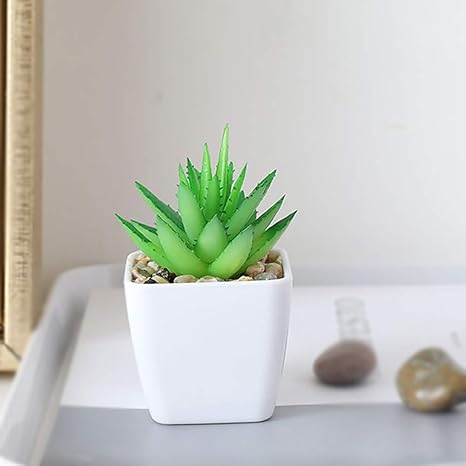 Amazon 人工観葉植物枯れないレゼント ギフト 造植物 美術館 ホーム 庭園 キッチン オフィス 喫 ラ 人工観葉植物 オンライン通販