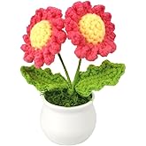 1Pcs Handmade Crochet 2 Head Daisy Knitted Forever Flowers for Girls Mom Teacher Appreciation, Mini Potted Flowers for Office Desk, Car Dashboard, Home Decor, Positive Thank You Gifts (carmine)