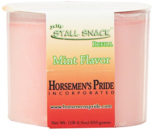 Horsemen's Pride Treat refill for Stall Snack holder Mint