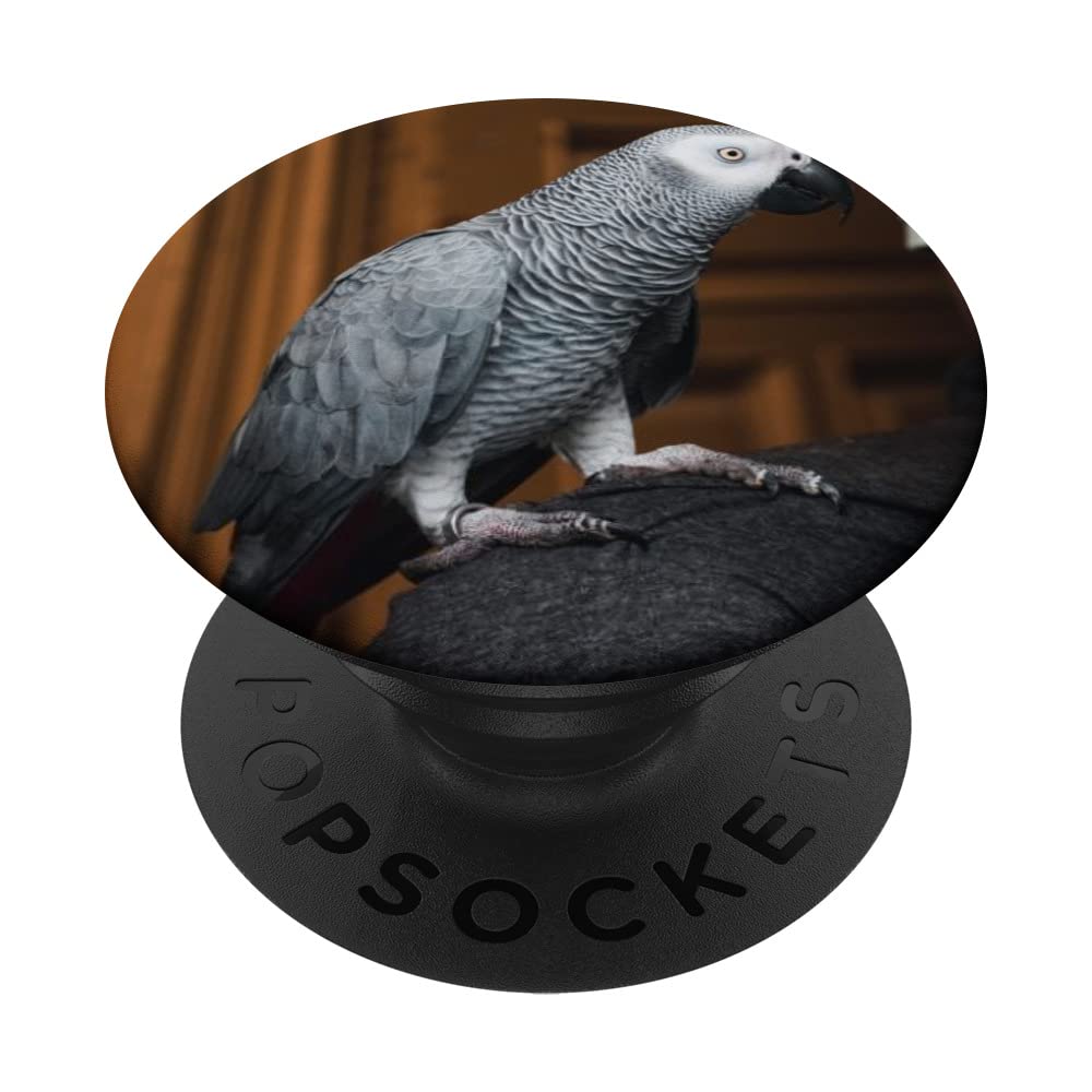 Green Cheek Conure PopSockets Swappable PopGrip