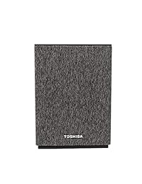 Toshiba ty gc1000 alta resolución  Cast Wireless Bluetooth Audio Altavoz