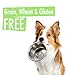 Natural Rapport Beef Liver Dog Treats - The Only Freeze Dried Beef Liver Dogs Need - Grain-Free Beef Bites, Dog Treats for Small and Large Dogs (8 oz.)