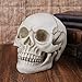 Human Skull Art Teaching Model Medical Realistic 1:1 Adult Size Replica Resin,Scary Halloween Decorations