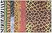 Roylco Animal Craft Papers Pack of 40
