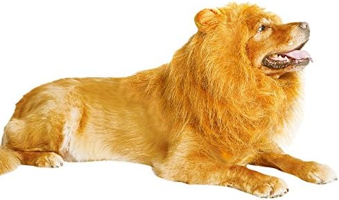 Thedogloveit Dog Hats Lion Mane, Interesting Costumes Gift, Wig, Medium to Large