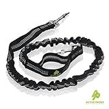 Active Prods PREMIUM Bungee Dog Leash for Walking & Running with Small, Medium or Large Dogs | To be used for a 2nd Dog with a Hands Free Dog Leash