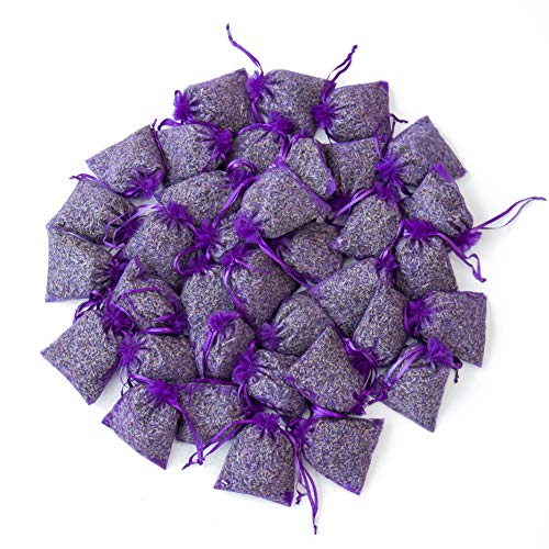 36 Small Lavender Sachets Bag for Wedding, Closets and Drawers, Home Fragrance Sachets, Drawer Freshener, Lavender Scented Sachets - Naturally Dried Lavender Flower Buds