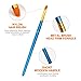 Alritz Acrylic Paint Brush Set, Artist Paint Brushes with Carrying Case for Oil, Watercolor, Face and Body Painting