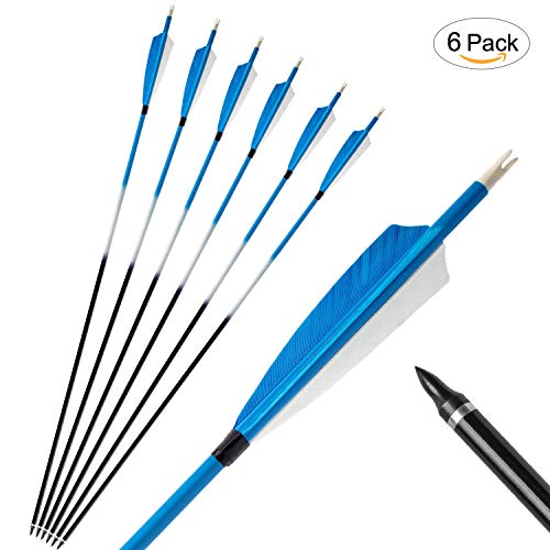 Feather Arrows 31" Archery Hunting Arrows Carbon Targeting Practice Feather Fletching Arrows for Recurve Bows and Longbow with Removable Tips