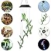 Epicgadget Hummingbird Solar Light - Color Changing Wind Chime for Outdoor Garden, Walkway, Pathway, Backyard - Christmas Decoration, Party Decor (Green Wing)