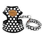 SMALLLEE_LUCKY_STORE New Soft Mesh Nylon Vest Pet Cat Small Medium Dog Harness Dog Leash Set Leads Black S