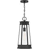 Savoy House 5-208-BK Payne Transitional Clear Beveled Glass Outdoor Hanging Lantern, 1-Light 60 Watt, 21" H x 10" W, Matte Bl