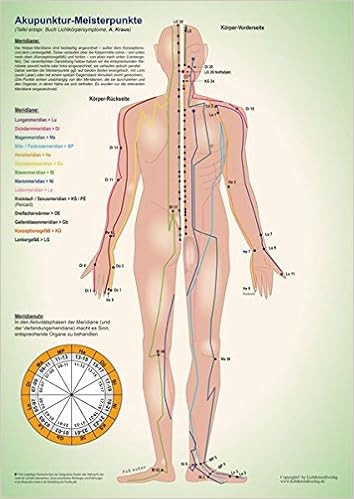 Meisterpunkte Akupunkturtafel A3 Amazon De Andrea Constanze Kraus Bucher