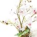 LOUHO Orchid Phalaenopsis Bonsai Artificial Silk Flower Arrangement Home Decor Table Centerpieces (White-2)