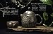 2016 Raw (Sheng) Puer Wild Tea - Naturally & Ethically Grown From Wild Tea Trees near Bulang Mountain in Yunnan, China