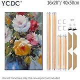 Canvas Wood Stretcher Bars Painting Wooden Frames for Gallery Wrap Oil Painting Posters, Modern Life Accessory, 16