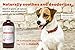 Natural Dog Shampoo. Anti-Bacterial-Anti-Fungal- Anti-Itch , Promotes Healthy Hair and Skin, Helps Hot Spots. Shea Butter, Neem and Argan Oil, Aloe Vera and Bentonite. Concentrated-Organic by Moosh