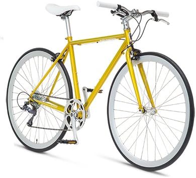 schwinn slicker