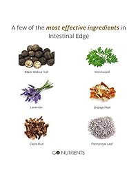 Intestinal Edge – alta potencia Gusano y limpiador para los seres humanos intestinal – 2 oz