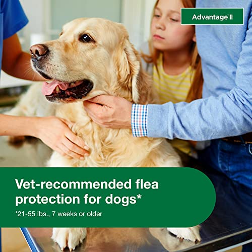 Advantage II Large Dog Flea Treatment & Prevention Dogs 2155 lbs. 4Month
