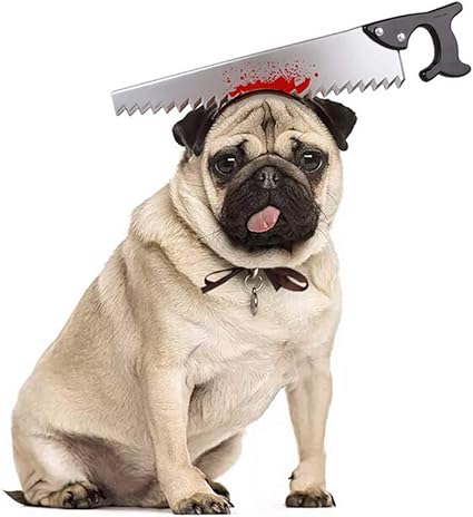 Caoqao Chapeau Chien Chat Chapeaux De Décoration Drôles D