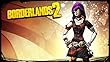 Borderlands 2: Mechromancer Supremacy Pack [Download]