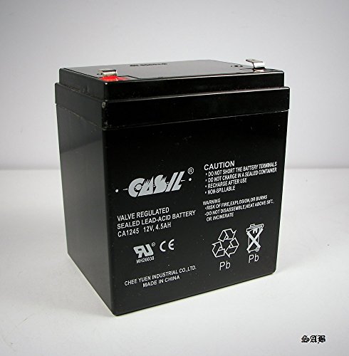 CASIL 12v 4.5ah Replacement for RT1250 SLA Battery with F1 Terminal