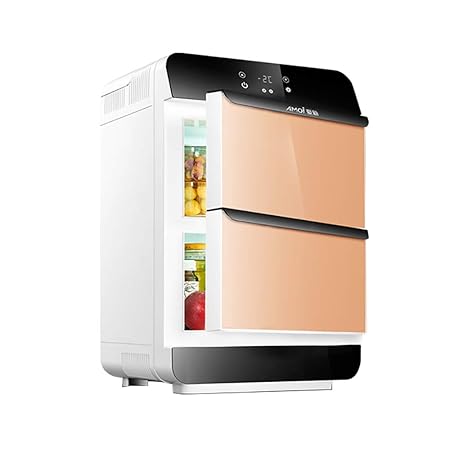 25L Dual-Core Refrigeration Car Refrigerator Control De ...