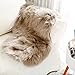 Reafort High Pile Super Soft Faux Sheepskin Rug, Chair Cover, Sofa Cover 20inx36in (20