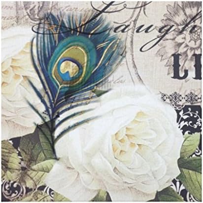 Shakaka Vintage Peacock Feather Rose Paris Canvas Wall Art For Home Decoration Canvas Print - 16x 12