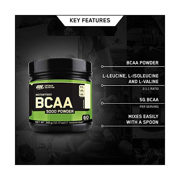 Optimum-Nutrition-5000-Powder-Branched-Chain-Amino-Acids-with-L-Leucine-L-Isoleucine-and-L-Valine-Unflavoured-Muscle-Building-and-Recovery-Supplements-60-Servings-345-g Optimum Nutrition 5000 Powder Branched Chain Amino Acids with L-Leucine, L-Isoleucine and L-Valine, Unflavoured Muscle…