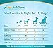 Best Bully Sticks Grade-A Medium Whole Elk Antler Dog Chew (1 Antler) Sourced in the USA
