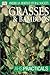 American Horticultural Society Practical Guides: Grasses and Bamboos (AHS Practical Guides) by