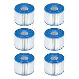 INTEX 29001E PureSpa Type S1 Easy Set Pool Filter Cartridges, 6 Filters (Lawn &amp; Patio)