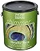 1 gal Modern Masters ME660 Pharaoh's Gold Metallic Paint Collection Water-Based Decorative Metallic Paint