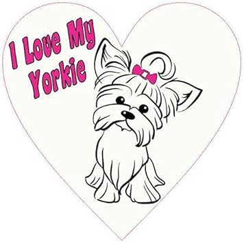 i love my yorkie