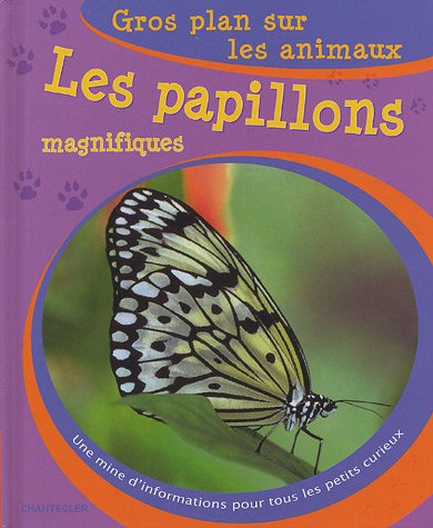 Les  papillons magnifiques