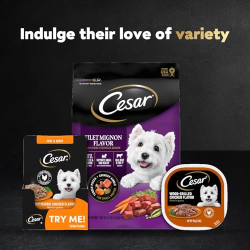CESAR FILETS IN GRAVY WET DOG FOOD ROTISSERIE CHICKEN FLAVOR, FILET MIGNON FLAVOR, AND WOOD-GRILLED CHICKEN VARIETY PACK, WET FOOD FOR DOGS, 1.76 OZ. MINI-POUCHES, 40 COUNT