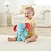 Fisher-Price Calming Vibrations Cuddle Soother, Blue