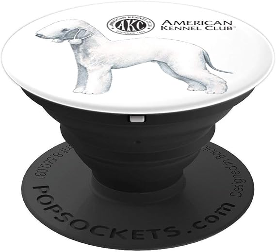 akc bedlington terrier