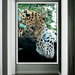 signwin Framed Canvas Wall Art Cheetah Animals Cheetah...