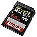 SanDisk 64GB Extreme PRO SDXC UHS-I Memory Card (SDSDXXG-064G-GN4IN)