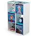 Delta Children 6 Cubby Storage Unit, Disney Frozen