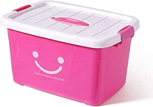 Extraordinary Caja de Almacenamiento de plástico,Caja de Almacenamiento