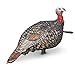 Avian-X LCD Rio Grande Combo Pack - Lookout Hen Jake Turkey Decoy