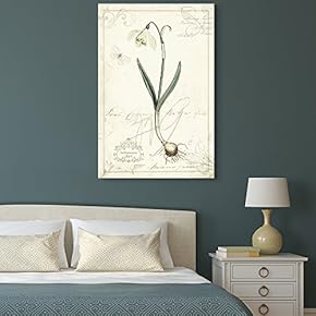 Canvas Wall Art - Vintage Style Narcissus Plant - Giclee Print Gallery Wrap Modern Home Art Ready to Hang - 12x18 inches