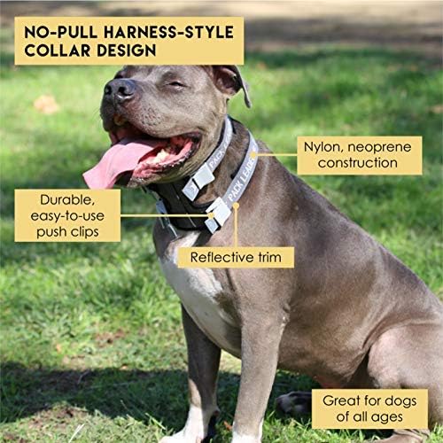 cesar millan no pull collar