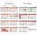 Scrubnotes - Medical Reference ID Badge Cards for Nurses and Doctors - 13 Card Set with Pocket Medical Abbreviation Booklet