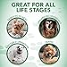 Vet's Best Comfort Fit Dog Diapers | Disposable Female Dog Diapers | Absorbent with Leak Proof Fit